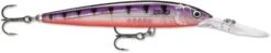 Rapala Down Deep Husky Jerk 10 Deep Diving Jerkbait -Fishing Equipment Store 12564593639479
