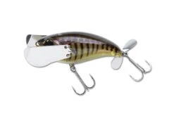 Jackall Pompadour Jr. Topwater Lure 15 Jackall Pompadour Jr. Topwater Lure -Fishing Equipment Store 12984638144567