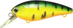 Lucky Craft Moonsault CB-100 Shallow Diving Crankbait -Fishing Equipment Store 13025143128119