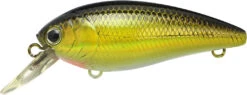Lucky Craft Moonsault CB-100 Shallow Diving Crankbait -Fishing Equipment Store 13025143160887