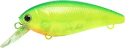 Lucky Craft Moonsault CB-100 Shallow Diving Crankbait -Fishing Equipment Store 13025143291959