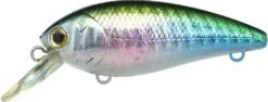 Lucky Craft Moonsault CB-100 Shallow Diving Crankbait -Fishing Equipment Store 13025143488567