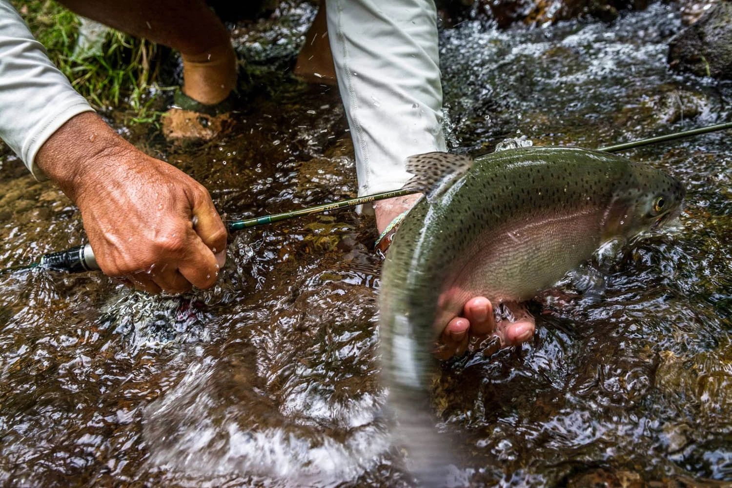 Temple Fork Outfitters Trout-Panfish Spinning Rods 10 Temple Fork Outfitters Trout-Panfish Spinning Rods - Image 8