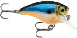 Rapala BX Big Brat 2 3/4 Inch Square Bill Crankbait 20 Rapala BX Big Brat 2 3/4 Inch Square Bill Crankbait -Fishing Equipment Store 31321538363481