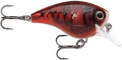 Rapala BX Big Brat 2 3/4 Inch Square Bill Crankbait 25 Rapala BX Big Brat 2 3/4 Inch Square Bill Crankbait -Fishing Equipment Store 31321538527321