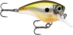 Rapala BX Big Brat 2 3/4 Inch Square Bill Crankbait 26 Rapala BX Big Brat 2 3/4 Inch Square Bill Crankbait -Fishing Equipment Store 31321538560089
