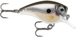 Rapala BX Big Brat 2 3/4 Inch Square Bill Crankbait 29 Rapala BX Big Brat 2 3/4 Inch Square Bill Crankbait -Fishing Equipment Store 31321538691161