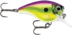 Rapala BX Big Brat 2 3/4 Inch Square Bill Crankbait 30 Rapala BX Big Brat 2 3/4 Inch Square Bill Crankbait -Fishing Equipment Store 31321538723929