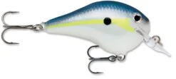 Rapala DT Fat 03 Shallow Square Bill Crankbait 13 Rapala DT Fat 03 Shallow Square Bill Crankbait -Fishing Equipment Store 31333941182553