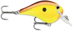 Rapala DT Fat 03 Shallow Square Bill Crankbait 14 Rapala DT Fat 03 Shallow Square Bill Crankbait -Fishing Equipment Store 31333941215321