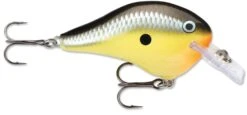 Rapala DT Fat 03 Shallow Square Bill Crankbait 15 Rapala DT Fat 03 Shallow Square Bill Crankbait -Fishing Equipment Store 31333941280857
