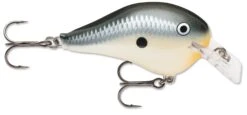 Rapala DT Fat 03 Shallow Square Bill Crankbait 16 Rapala DT Fat 03 Shallow Square Bill Crankbait -Fishing Equipment Store 31333941313625