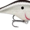 Rapala DT Fat 03 Shallow Square Bill Crankbait