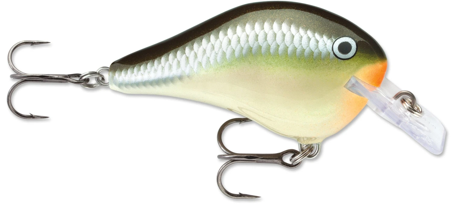 Rapala DT Fat 03 Shallow Square Bill Crankbait 10 Rapala DT Fat 03 Shallow Square Bill Crankbait - Image 8