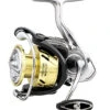 Daiwa Procyon LT Spinning Reels -Fishing Equipment Store 31403870912601