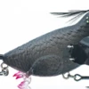 Chasebaits The Smuggler Topwater Crawler -Fishing Equipment Store 31431054786649