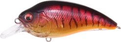 Megabass Super-Z Z-1 Medium Diving Crankbait -Fishing Equipment Store 31680779092057