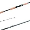 Daiwa Tatula Series Swimbait Casting Rods -Fishing Equipment Store 32053686370393