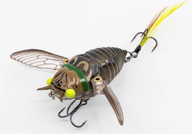 Chasebaits Ripple Cicada 1 3/4 Inch Wakebait Crawler 3 Chasebaits Ripple Cicada 1 3/4 Inch Wakebait Crawler