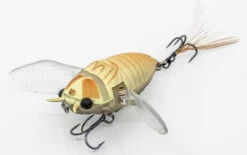 Chasebaits Ripple Cicada 1 3/4 Inch Wakebait Crawler 11 Chasebaits Ripple Cicada 1 3/4 Inch Wakebait Crawler -Fishing Equipment Store 32233146843225