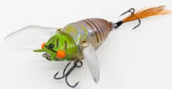 Chasebaits Ripple Cicada 1 3/4 Inch Wakebait Crawler 12 Chasebaits Ripple Cicada 1 3/4 Inch Wakebait Crawler -Fishing Equipment Store 32233146875993