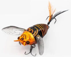 Chasebaits Ripple Cicada 1 3/4 Inch Wakebait Crawler 13 Chasebaits Ripple Cicada 1 3/4 Inch Wakebait Crawler -Fishing Equipment Store 32233146908761