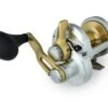 Shimano Talica 1-Speed Lever Drag Conventional Reels -Fishing Equipment Store 32382647992409