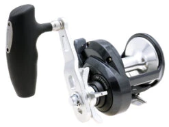 Shimano Torium Star Drag Conventional Reels -Fishing Equipment Store 39267241721945