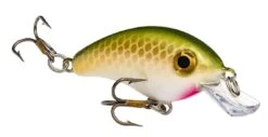 Strike King Pro Model Bitsy Minnow Ultralight Crankbait -Fishing Equipment Store 39298391244889