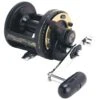 Shimano TLD Triton 1-Speed Lever Drag Conventional Reels -Fishing Equipment Store 39356718219353
