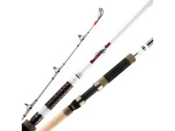 Okuma Battle Cat Catfish Spinning Rod 2-piece -Fishing Equipment Store 39701683798105
