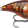 Rapala BX Mid-Brat 05 Squarebill Crankbait -Fishing Equipment Store 39740178038873