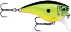 Rapala BX Mid-Brat 05 Squarebill Crankbait -Fishing Equipment Store 39740178202713