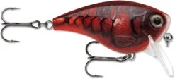 Rapala BX Mid-Brat 05 Squarebill Crankbait -Fishing Equipment Store 39740178235481