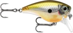 Rapala BX Mid-Brat 05 Squarebill Crankbait -Fishing Equipment Store 39740178268249