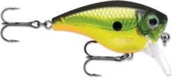 Rapala BX Mid-Brat 05 Squarebill Crankbait -Fishing Equipment Store 39740178301017