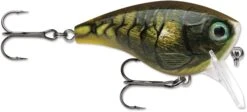 Rapala BX Mid-Brat 05 Squarebill Crankbait -Fishing Equipment Store 39740178366553