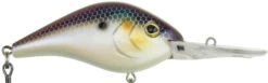 Berkley Dredger Deep Diving Crankbait Deeper Diving Models -Fishing Equipment Store 40325002985561