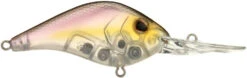 Berkley Dredger Deep Diving Crankbait Deeper Diving Models -Fishing Equipment Store 40325003247705