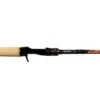 Dobyns Champion Extreme HP Casting Rods -Fishing Equipment Store 40437596848217