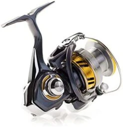 Daiwa Regal LT Spinning Reel -Fishing Equipment Store 418E3HhhrIL. AC