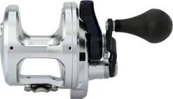 Shimano Talica 20BFC Billfish Concept Lever Drag Conventional Reel -Fishing Equipment Store 61cQjhOT4SL. AC SX679