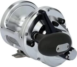 Shimano Talica 20BFC Billfish Concept Lever Drag Conventional Reel -Fishing Equipment Store 71VyJgta 6L. AC SX679