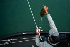 Abu Garcia Veritas Winch Baitcasting Rod 20 Abu Garcia Veritas Winch Baitcasting Rod -Fishing Equipment Store ABU CASTING ROD VERITAS PLX WINCH LIFESTYLE 2021 005