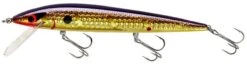 Smithwick Elite 8 Rogue 4 1/2 Inch Suspending Jerkbait 19 Smithwick Elite 8 Rogue 4 1/2 Inch Suspending Jerkbait -Fishing Equipment Store ADR4213 427dcaa6 8bc9 4645 9527 5e6203b63ad1