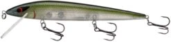 Smithwick Elite 8 Rogue 4 1/2 Inch Suspending Jerkbait 15 Smithwick Elite 8 Rogue 4 1/2 Inch Suspending Jerkbait -Fishing Equipment Store ADR4281