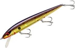 Smithwick Perfect 10 Rogue 5 1/2 Inch Deep Diving Suspending Jerkbait 39 Smithwick Perfect 10 Rogue 5 1/2 Inch Deep Diving Suspending Jerkbait -Fishing Equipment Store ADR5213