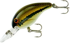 Bandit 200 Series Medium Diving Crankbait -Fishing Equipment Store BDT201