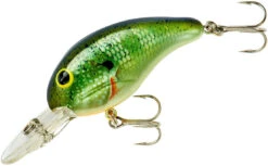 Bandit 200 Series Medium Diving Crankbait -Fishing Equipment Store BDT2B38