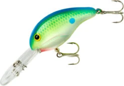 Bandit 300 Series Deep Diving Crankbait -Fishing Equipment Store BDT3D01